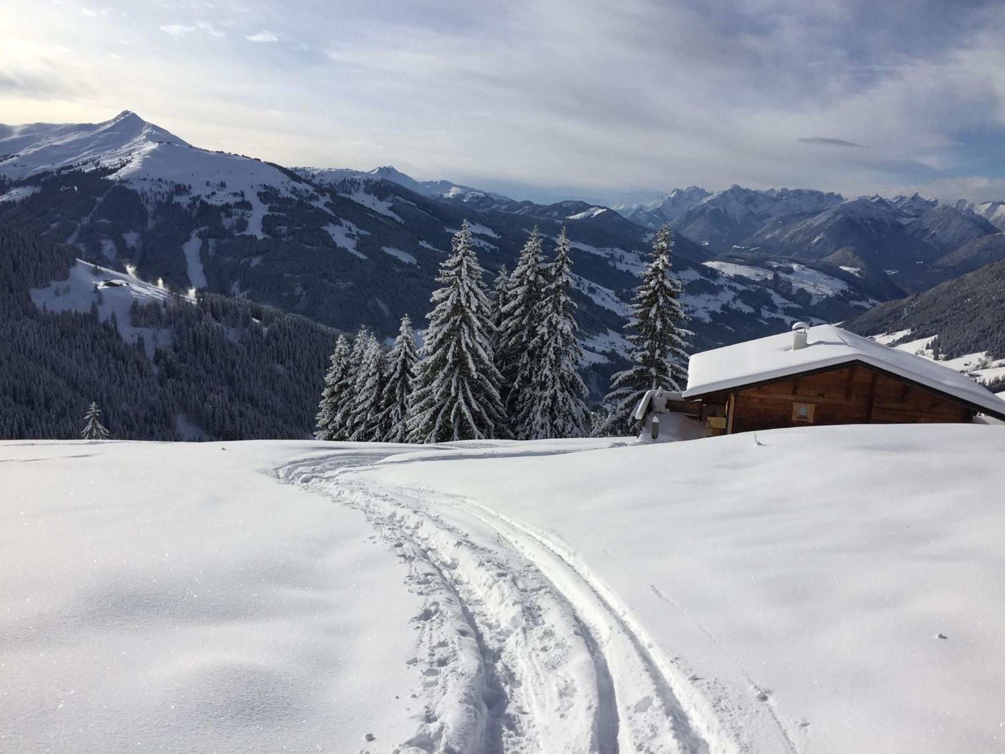 Apartment Haus Schoenwies Alpbach Eksteriør billede