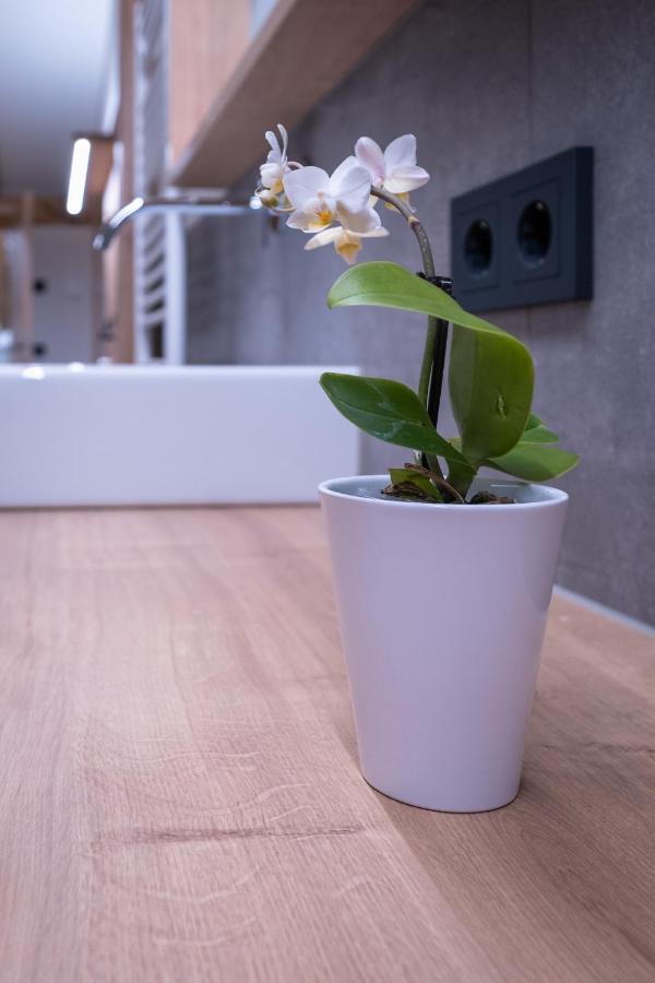 Apartment Haus Schoenwies Alpbach Eksteriør billede